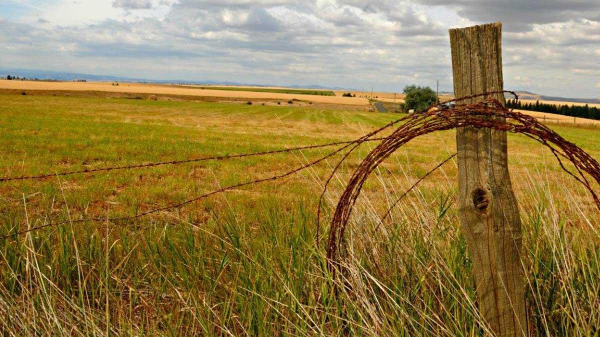 A field in Idaho county