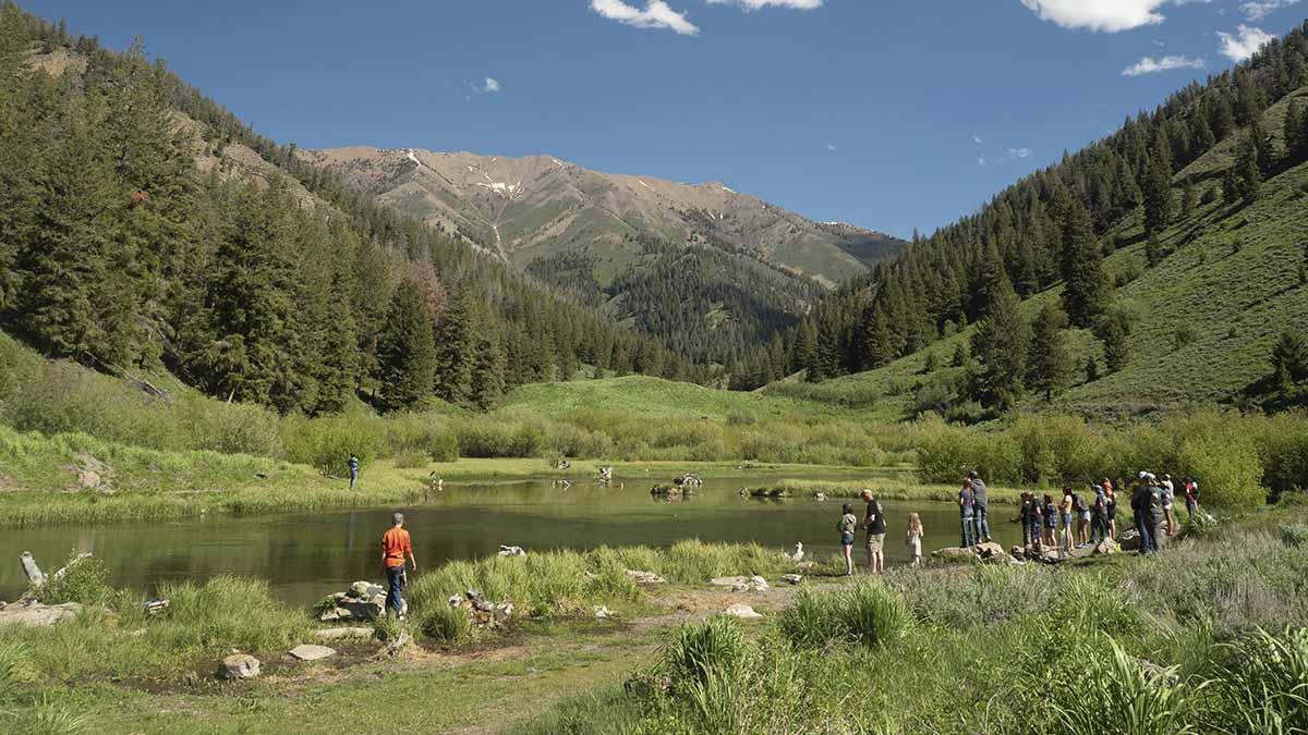 A group fishing in a pond.