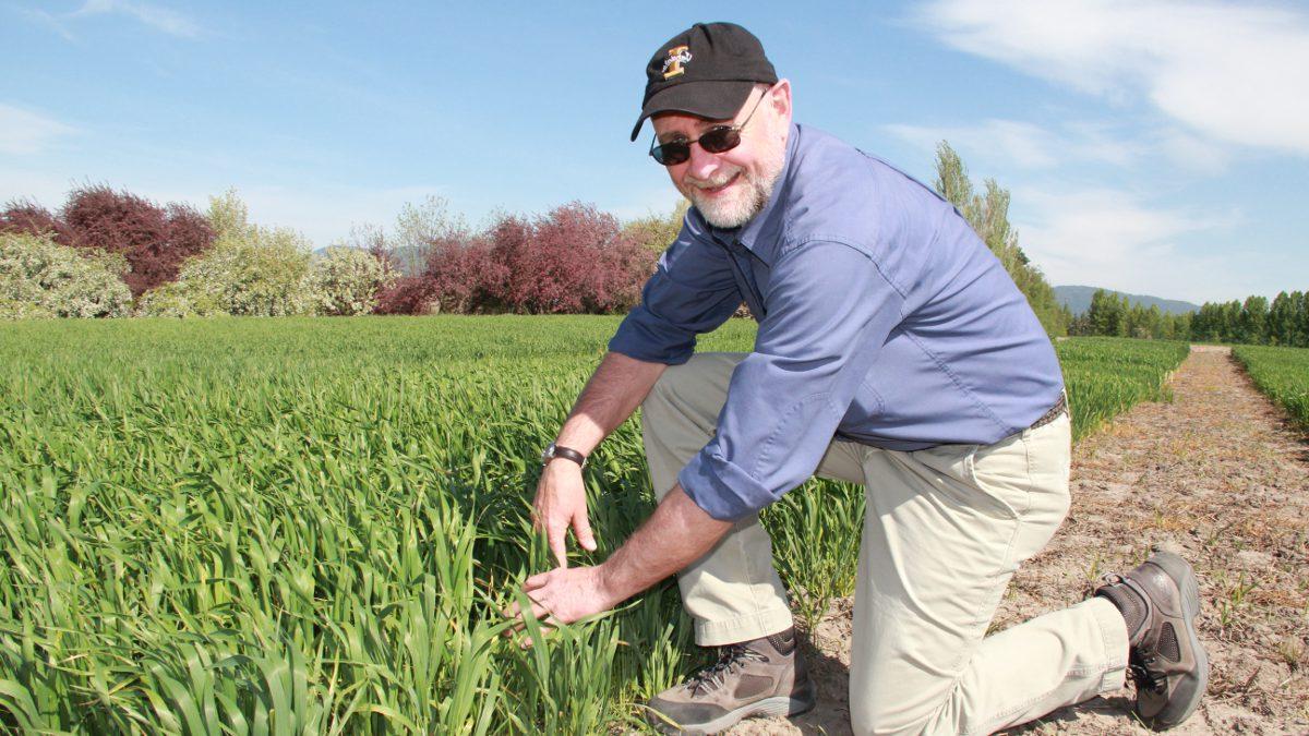 Donn Thill crouching in a field in an agricultural demonstration.